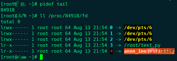 linux fd是什么