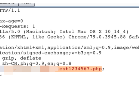 ThinkPHP6 任意文件操作漏洞分析