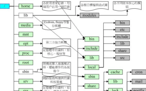 一张图带你缕清linux目录结构！