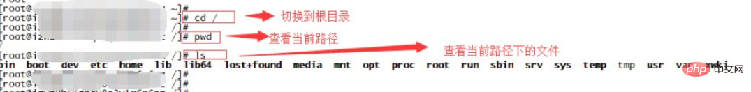 linux怎样查询目录