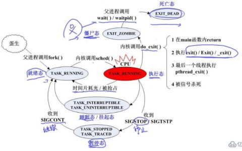 linux可不可以创建多个进程