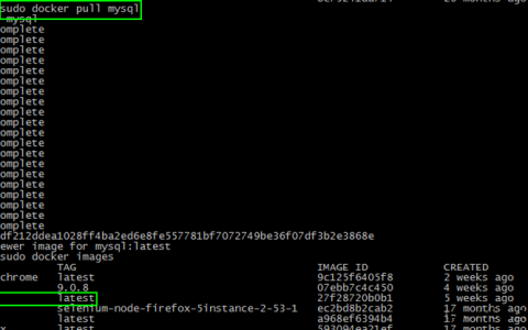 Docker如何创建MySQL