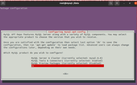 ubuntu20.04怎么配置mysql8.0