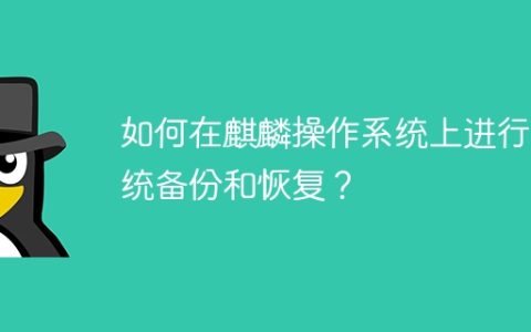如何在麒麟操作系统上进行系统备份和恢复？