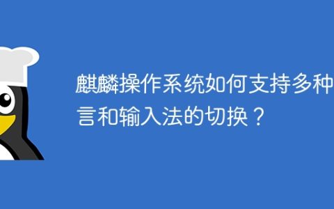 麒麟操作系统如何支持多种语言和输入法的切换？