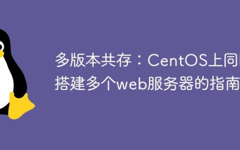 多版本共存：CentOS上同时搭建多个web服务器的指南