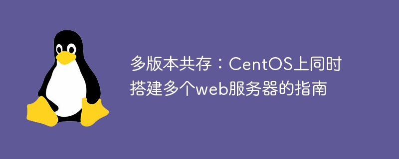多版本共存：centos上同时搭建多个web服务器的指南