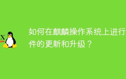 如何在麒麟操作系统上进行软件的更新和升级？