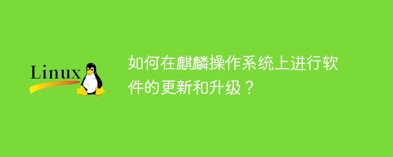 如何在麒麟操作系统上进行软件的更新和升级?