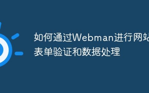 如何通过Webman进行网站的表单验证和数据处理