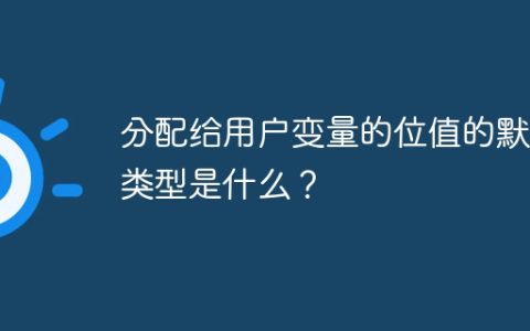 分配给用户变量的位值的默认类型是什么？