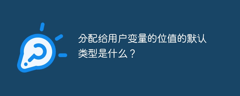 分配给用户变量的位值的默认类型是什么?