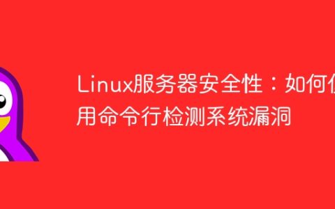 Linux服务器安全性：如何使用命令行检测系统漏洞