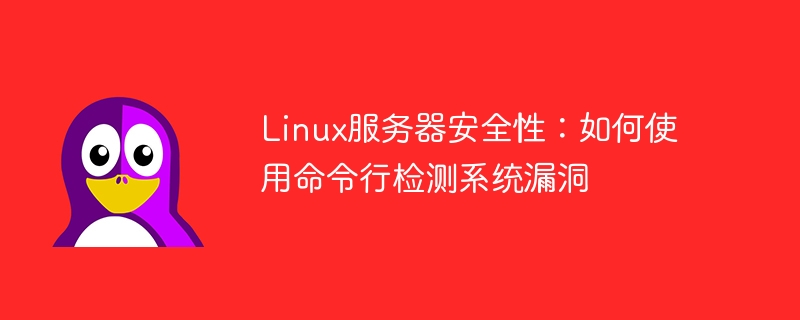 linux服务器安全性:如何使用命令行检测系统漏洞
