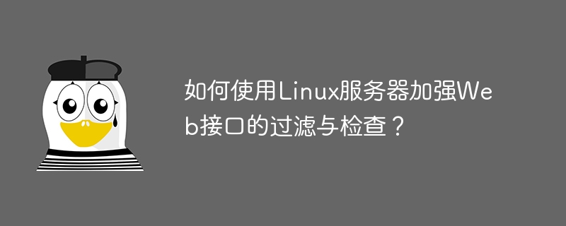 如何使用linux服务器加强web接口的过滤与检查?