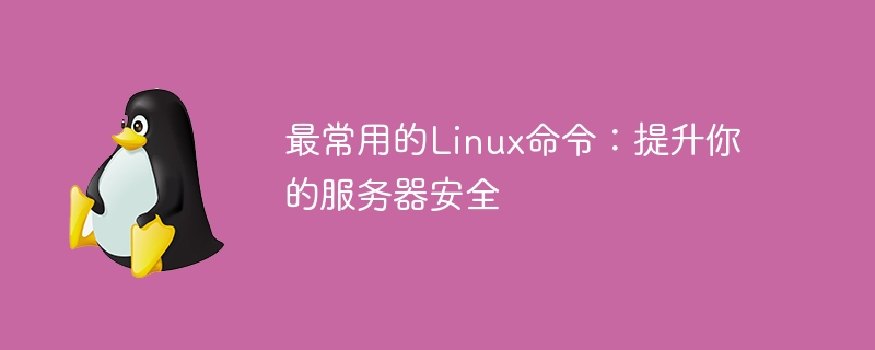 最常用的linux命令:提升你的服务器安全