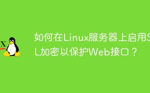 如何在Linux服务器上启用SSL加密以保护Web接口？
