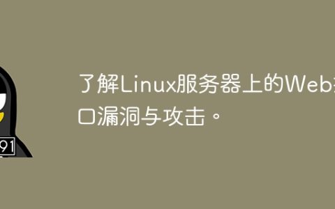 了解Linux服务器上的Web接口漏洞与攻击。