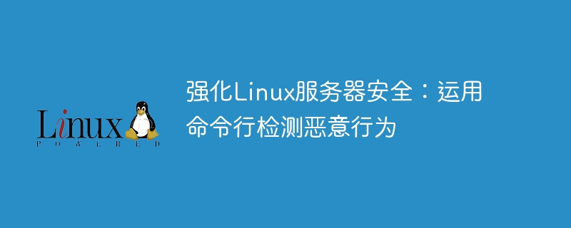 强化linux服务器安全:运用命令行检测恶意行为