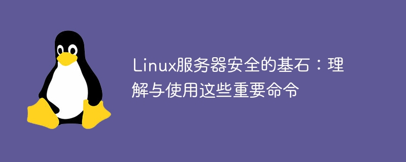 linux服务器安全的基石:理解与使用这些重要命令