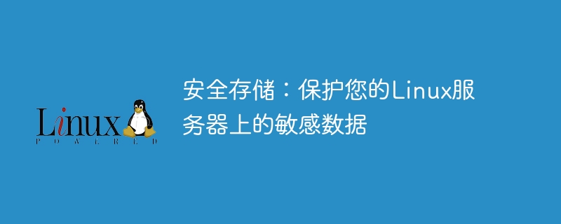 安全存储:保护您的linux服务器上的敏感数据