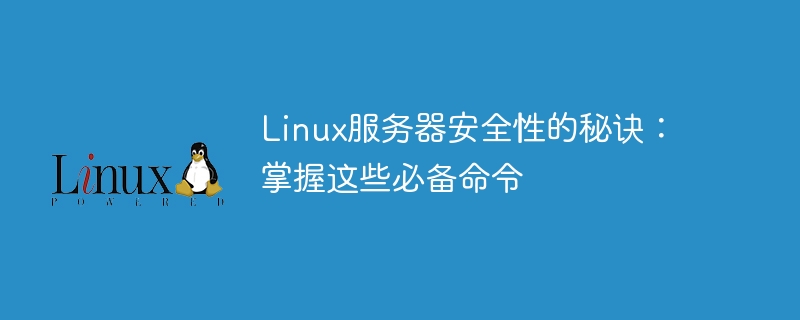 linux服务器安全性的秘诀:掌握这些必备命令