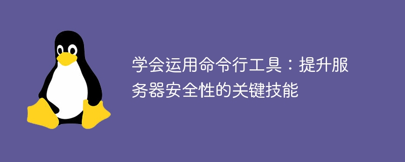 学会运用命令行工具:提升服务器安全性的关键技能