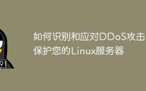 如何识别和应对DDoS攻击：保护您的Linux服务器