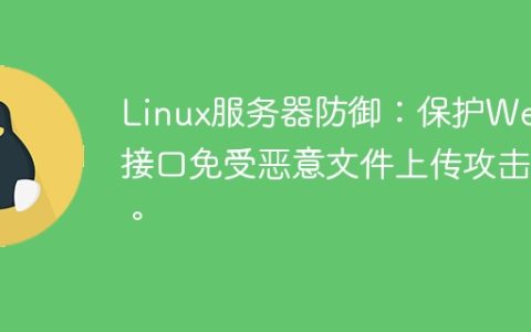 Linux服务器防御：保护Web接口免受恶意文件上传攻击。