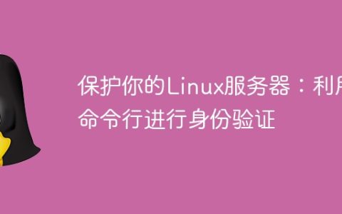 保护你的Linux服务器：利用命令行进行身份验证