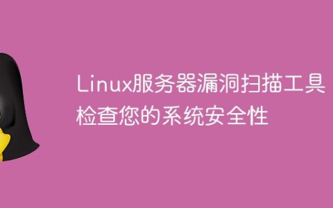 Linux服务器漏洞扫描工具：检查您的系统安全性
