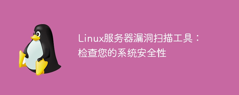 linux服务器漏洞扫描工具:检查您的系统安全性