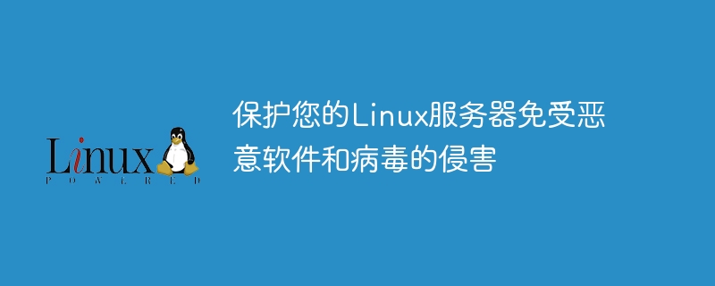 保护您的linux服务器免受恶意软件和病毒的侵害
