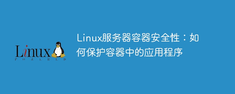 linux服务器容器安全性:如何保护容器中的应用程序