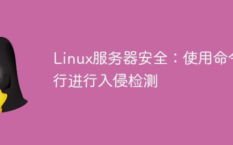 Linux服务器安全：使用命令行进行入侵检测
