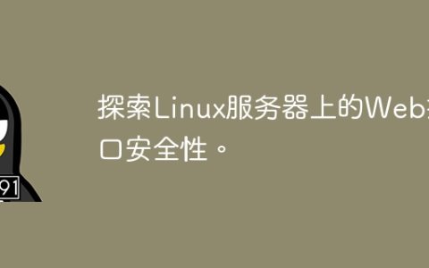 探索Linux服务器上的Web接口安全性。
