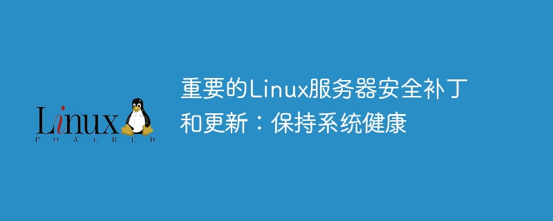 重要的linux服务器安全补丁和更新:保持系统健康