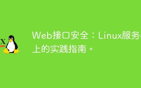Web接口安全：Linux服务器上的实践指南。