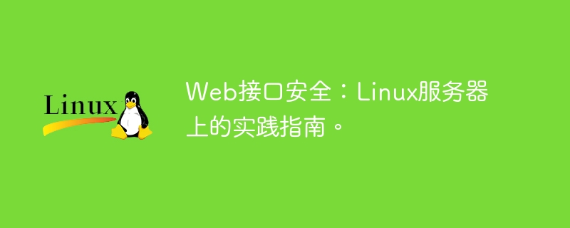 web接口安全:linux服务器上的实践指南。