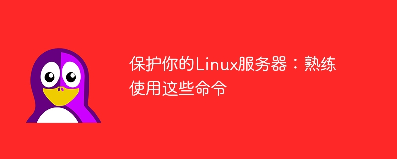 保护你的linux服务器:熟练使用这些命令