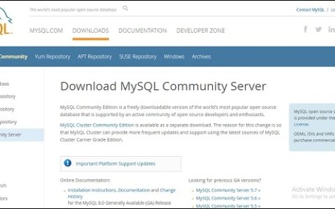 适用于 Windows 的 MySQL 命令行客户端？