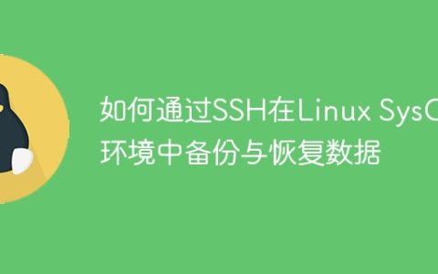 如何通过SSH在Linux SysOps环境中备份与恢复数据