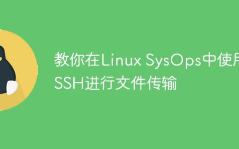 教你在Linux SysOps中使用SSH进行文件传输