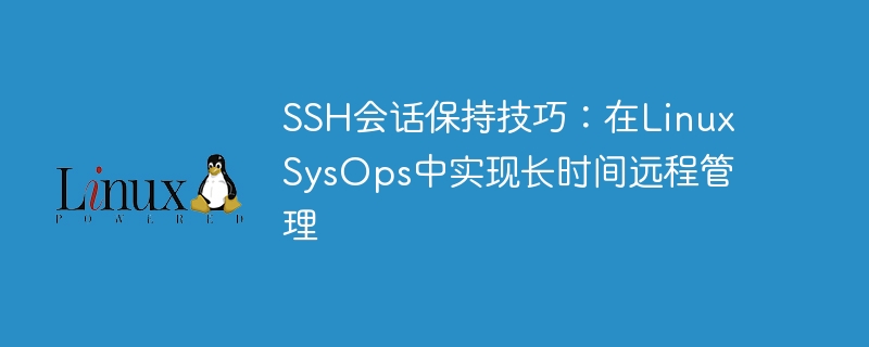 ssh会话保持技巧:在linux sysops中实现长时间远程管理