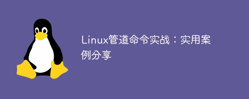 linux管道命令实战:实用案例分享