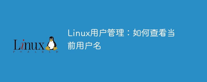 linux用户管理:如何查看当前用户名