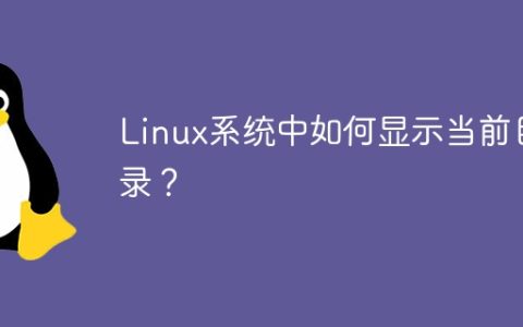 如何查看当前所在的目录？