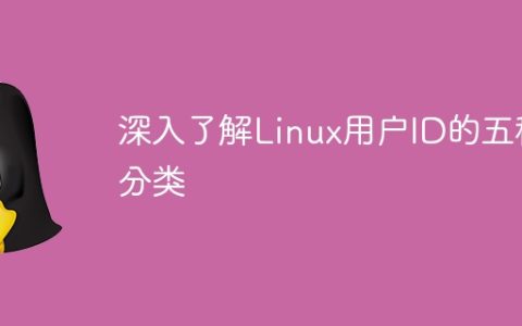 探索Linux用户ID的五种分类