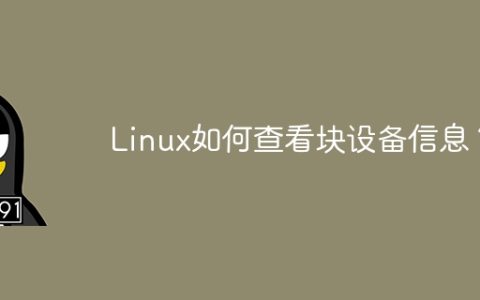 如何查看Linux的块设备信息？