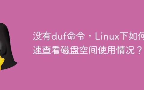 在Linux系统中，没有duf命令时，如何快速查询磁盘空间使用情况？